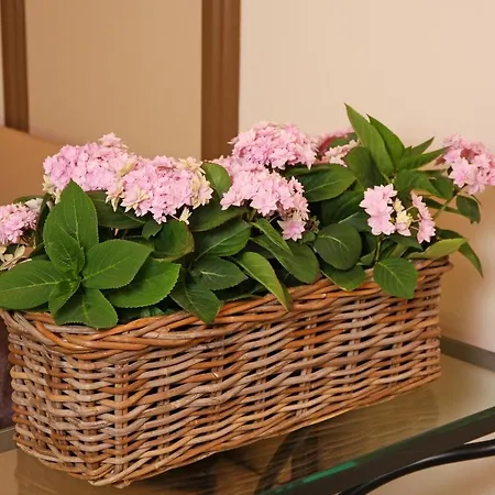 Hotel Seipel 3*