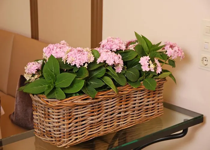 Ξενοδοχείο Seipel 3*